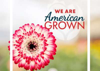 We Are American Grown Gerbs