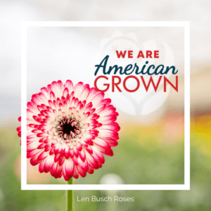 We Are American Grown Gerbs