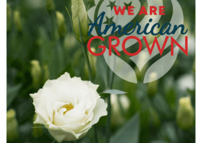We Are American Grown Lizzy