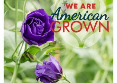 We Are American Grown Lizzy