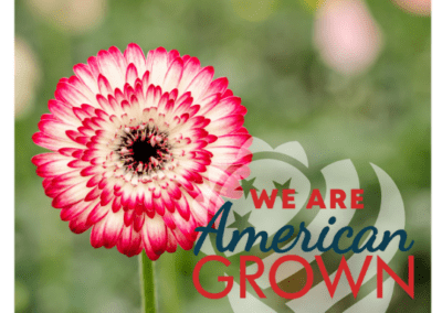 We Are American Grown Gerbs