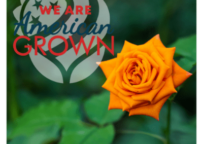 We Are American Grown