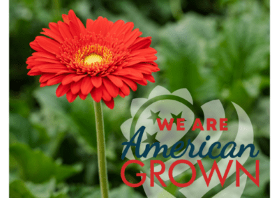 We Are American Grown Gerbs