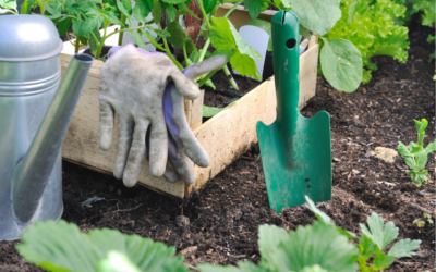 Preparing the Soil for Spring Planting